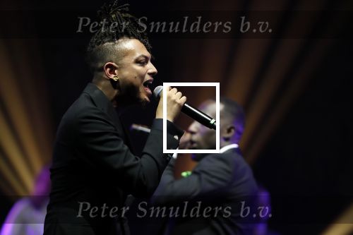 Amsterdam 12 februari 2018
Uitreiking Edison muziekprijzen in de westergasfabriek. Ronnie Flex