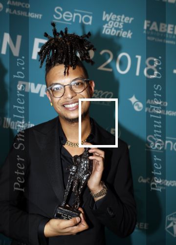 Amsterdam 12 februari 2018
Uitreiking Edison muziekprijzen in de westergasfabriek. Ronnie Flex