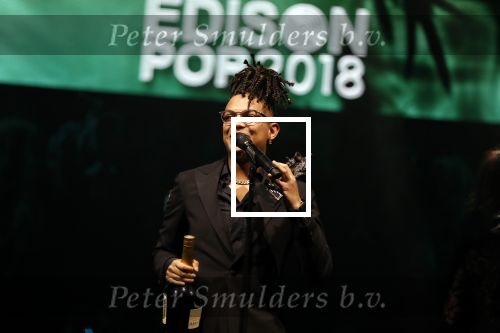 Amsterdam 12 februari 2018
Uitreiking Edison muziekprijzen in de westergasfabriek. Ronnie Flex