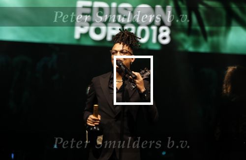 Amsterdam 12 februari 2018
Uitreiking Edison muziekprijzen in de westergasfabriek. Ronnie Flex