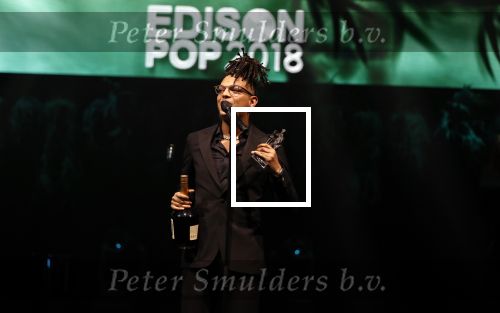 Amsterdam 12 februari 2018
Uitreiking Edison muziekprijzen in de westergasfabriek. Ronnie Flex
