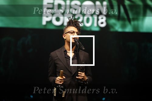 Amsterdam 12 februari 2018
Uitreiking Edison muziekprijzen in de westergasfabriek. Ronnie Flex