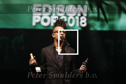 Amsterdam 12 februari 2018
Uitreiking Edison muziekprijzen in de westergasfabriek. Ronnie Flex