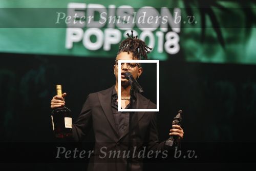 Amsterdam 12 februari 2018
Uitreiking Edison muziekprijzen in de westergasfabriek. Ronnie Flex
