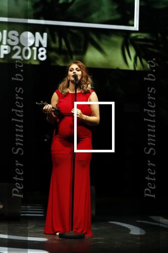 Amsterdam 12 februari 2018
Uitreiking Edison muziekprijzen in de westergasfabriek. Roxeanne Hazes met vriend Erk Zwennes