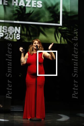 Amsterdam 12 februari 2018
Uitreiking Edison muziekprijzen in de westergasfabriek. Roxeanne Hazes met vriend Erk Zwennes
