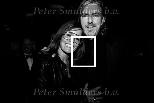 Amsterdam 12 februari 2018
Uitreiking Edison muziekprijzen in de westergasfabriek. Ruud de Wild met zijn vriendin Ilse Knijn