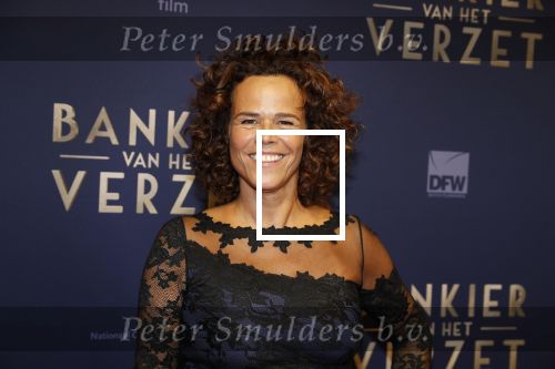 Amsterdam 5 maart 2018
Premiere bankier van het verzet in het de Lemar theater. Sabine Brian