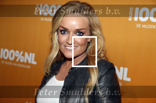 Amsterdam 20 februari 2018
Uitreiking 100% NL awards in club Panama. Samantha Steenwijk