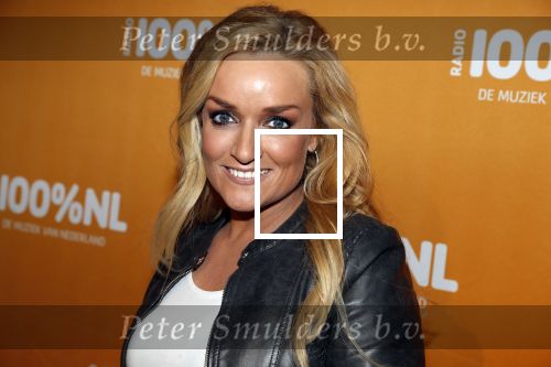 Amsterdam 20 februari 2018
Uitreiking 100% NL awards in club Panama. Samantha Steenwijk
