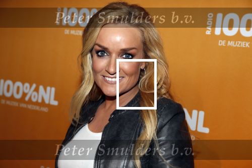 Amsterdam 20 februari 2018
Uitreiking 100% NL awards in club Panama. Samantha Steenwijk