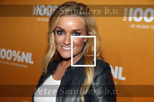 Amsterdam 20 februari 2018
Uitreiking 100% NL awards in club Panama. Samantha Steenwijk