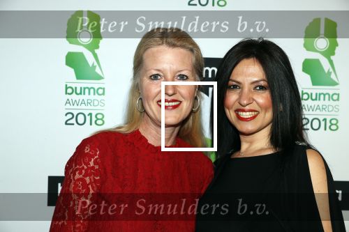 Amsterdam 5 maart 2018 
Buma prijzen in theater Amsterdam. Saskia Hoekstra