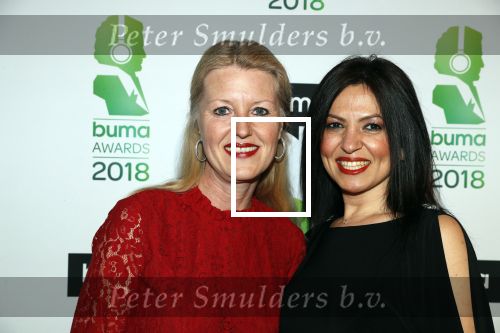 Amsterdam 5 maart 2018 
Buma prijzen in theater Amsterdam. Saskia Hoekstra