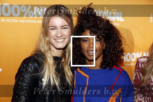 Amsterdam 20 februari 2018
Uitreiking 100% NL awards in club Panama. Shary-An Nivillac
