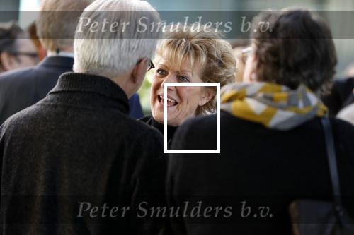 Hilversum 12 februari 2018 
Tribute to Guus Verstraete in beeld en geluid op het mediapark. Simone Kleinsma
