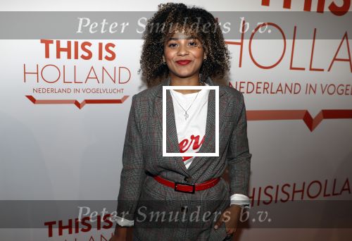 Amsterdam 1 februari 2018 
Opening This is Holland. Stephanie v Eer