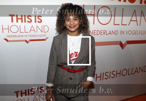 Amsterdam 1 februari 2018 
Opening This is Holland. Stephanie v Eer
