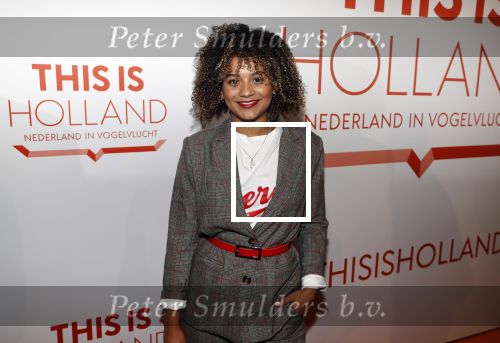 Amsterdam 1 februari 2018 
Opening This is Holland. Stephanie v Eer
