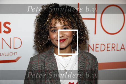 Amsterdam 1 februari 2018 
Opening This is Holland. Stephanie v Eer