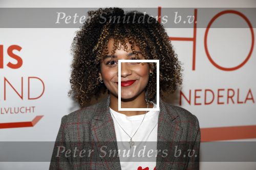 Amsterdam 1 februari 2018 
Opening This is Holland. Stephanie v Eer