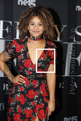 Amsterdam 6 februari 2018
Premiere 50 shades Freed in Tuschinski. 
Stephanie v Eer