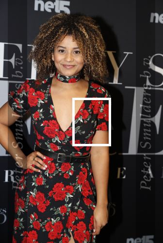 Amsterdam 6 februari 2018
Premiere 50 shades Freed in Tuschinski. 
Stephanie v Eer