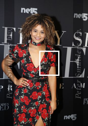 Amsterdam 6 februari 2018
Premiere 50 shades Freed in Tuschinski. 
Stephanie v Eer
