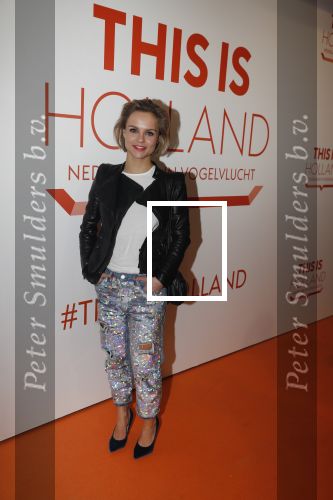 Amsterdam 1 februari 2018 
Opening This is Holland. Stijn Fransen
