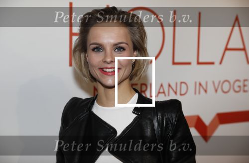 Amsterdam 1 februari 2018 
Opening This is Holland. Stijn Fransen