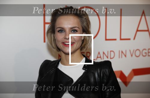 Amsterdam 1 februari 2018 
Opening This is Holland. Stijn Fransen