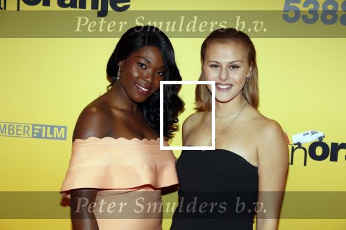 Amsterdam 12 februari 2018
Premiere Gek van Oranje in Tuschinski. Belinda van der Stoep en Susan Radder