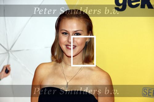Amsterdam 12 februari 2018
Premiere Gek van Oranje in Tuschinski. Belinda van der Stoep en Susan Radder