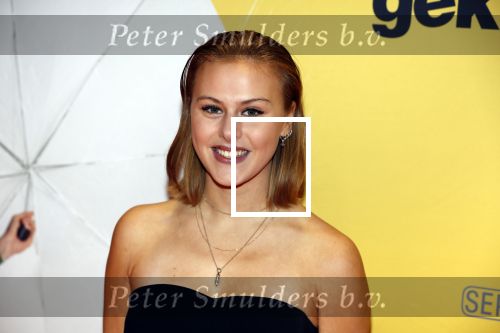 Amsterdam 12 februari 2018
Premiere Gek van Oranje in Tuschinski. Belinda van der Stoep en Susan Radder