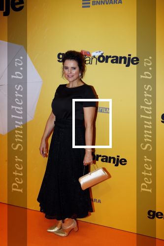 Amsterdam 12 februari 2018
Premiere Gek van Oranje in Tuschinski. Susan Visser