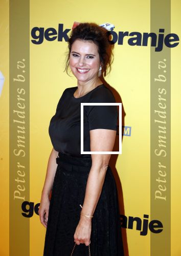 Amsterdam 12 februari 2018
Premiere Gek van Oranje in Tuschinski. Susan Visser