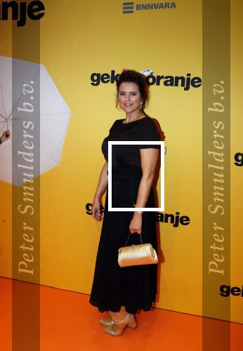 Amsterdam 12 februari 2018
Premiere Gek van Oranje in Tuschinski. Susan Visser