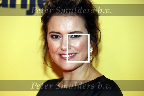 Amsterdam 12 februari 2018
Premiere Gek van Oranje in Tuschinski. Susan Visser