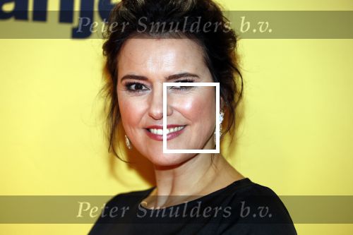 Amsterdam 12 februari 2018
Premiere Gek van Oranje in Tuschinski. Susan Visser