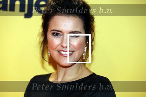 Amsterdam 12 februari 2018
Premiere Gek van Oranje in Tuschinski. Susan Visser