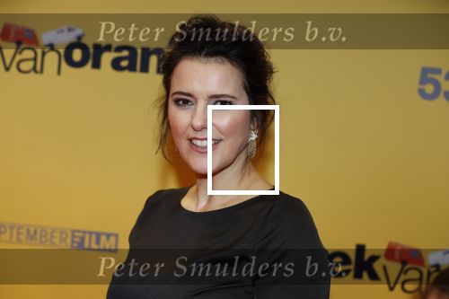 Amsterdam 12 februari 2018
Premiere Gek van Oranje in Tuschinski. Susan Visser