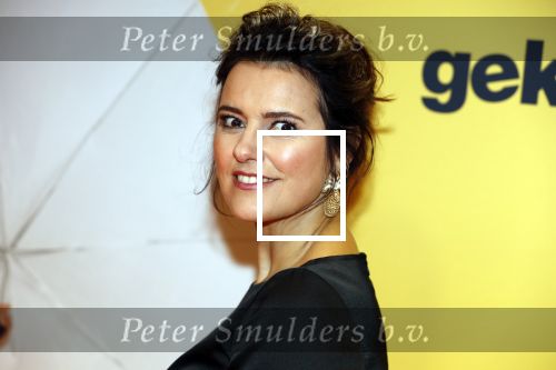 Amsterdam 12 februari 2018
Premiere Gek van Oranje in Tuschinski. Susan Visser
