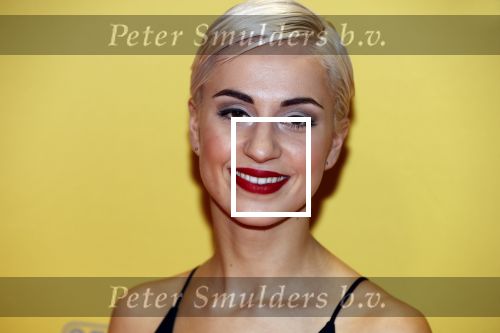 Amsterdam 12 februari 2018
Premiere Gek van Oranje in Tuschinski. Thijs Boermans en Suzanne Kipping