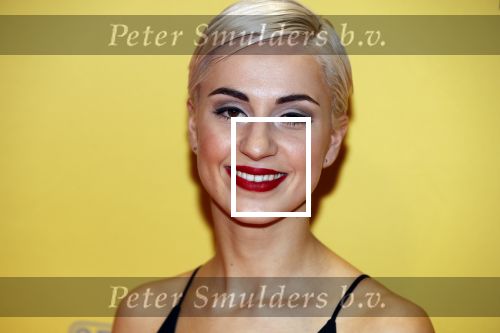 Amsterdam 12 februari 2018
Premiere Gek van Oranje in Tuschinski. Thijs Boermans en Suzanne Kipping