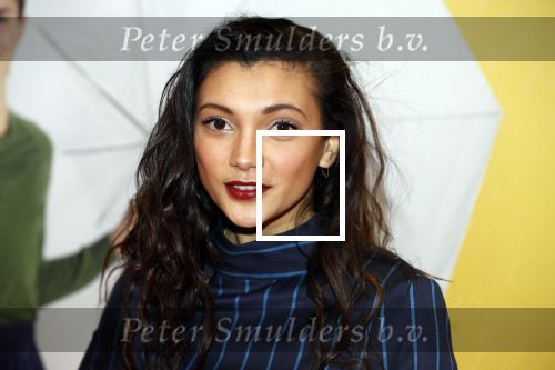 Amsterdam 12 februari 2018
Premiere Gek van Oranje in Tuschinski. Tara Hetharia