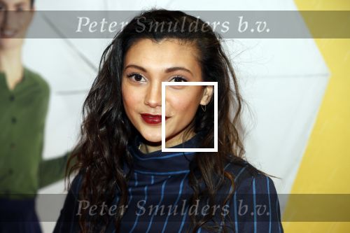 Amsterdam 12 februari 2018
Premiere Gek van Oranje in Tuschinski. Tara Hetharia