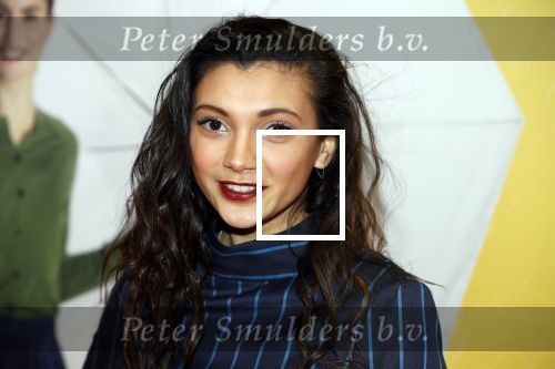 Amsterdam 12 februari 2018
Premiere Gek van Oranje in Tuschinski. Tara Hetharia