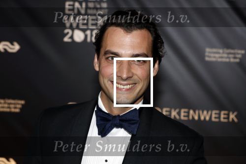 Amsterdam 9 maart 2018 
Boekenbal 2018 in de schouwburg van Amsterdam. Thierry Baudet