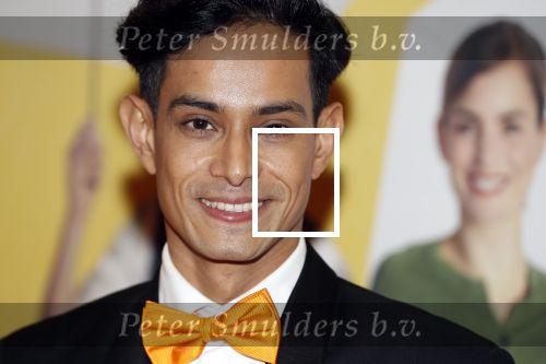 Amsterdam 12 februari 2018
Premiere Gek van Oranje in Tuschinski. Thijs Boermans en Suzanne Kipping