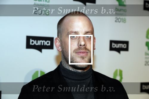 Amsterdam 5 maart 2018 
Buma prijzen in theater Amsterdam. Timothy Kimman (Jebroer)